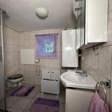 Waldhaus 公寓 米尔茨施泰格