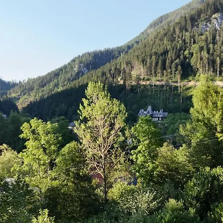 Waldhaus 米尔茨施泰格