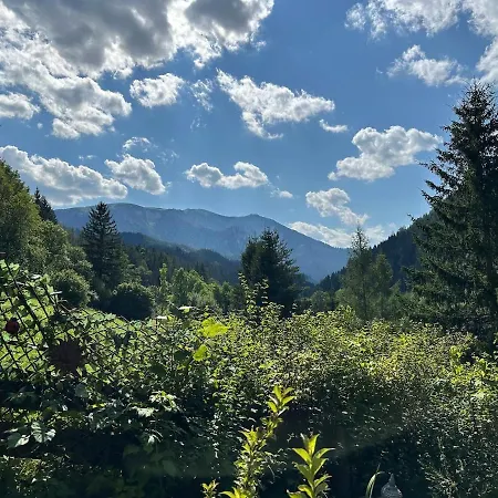 Waldhaus Apartment Murzsteg